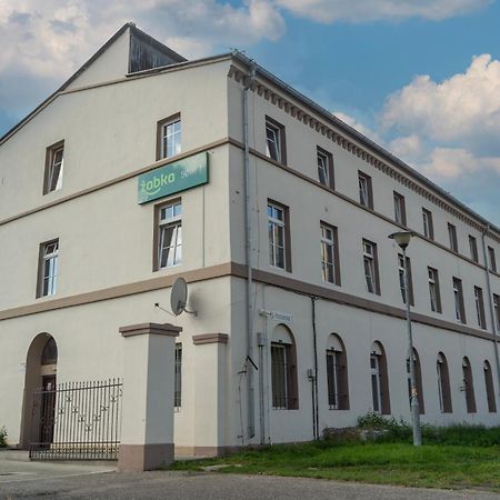 Hostel Krosnienska 12 Zielona Góra Dış mekan fotoğraf