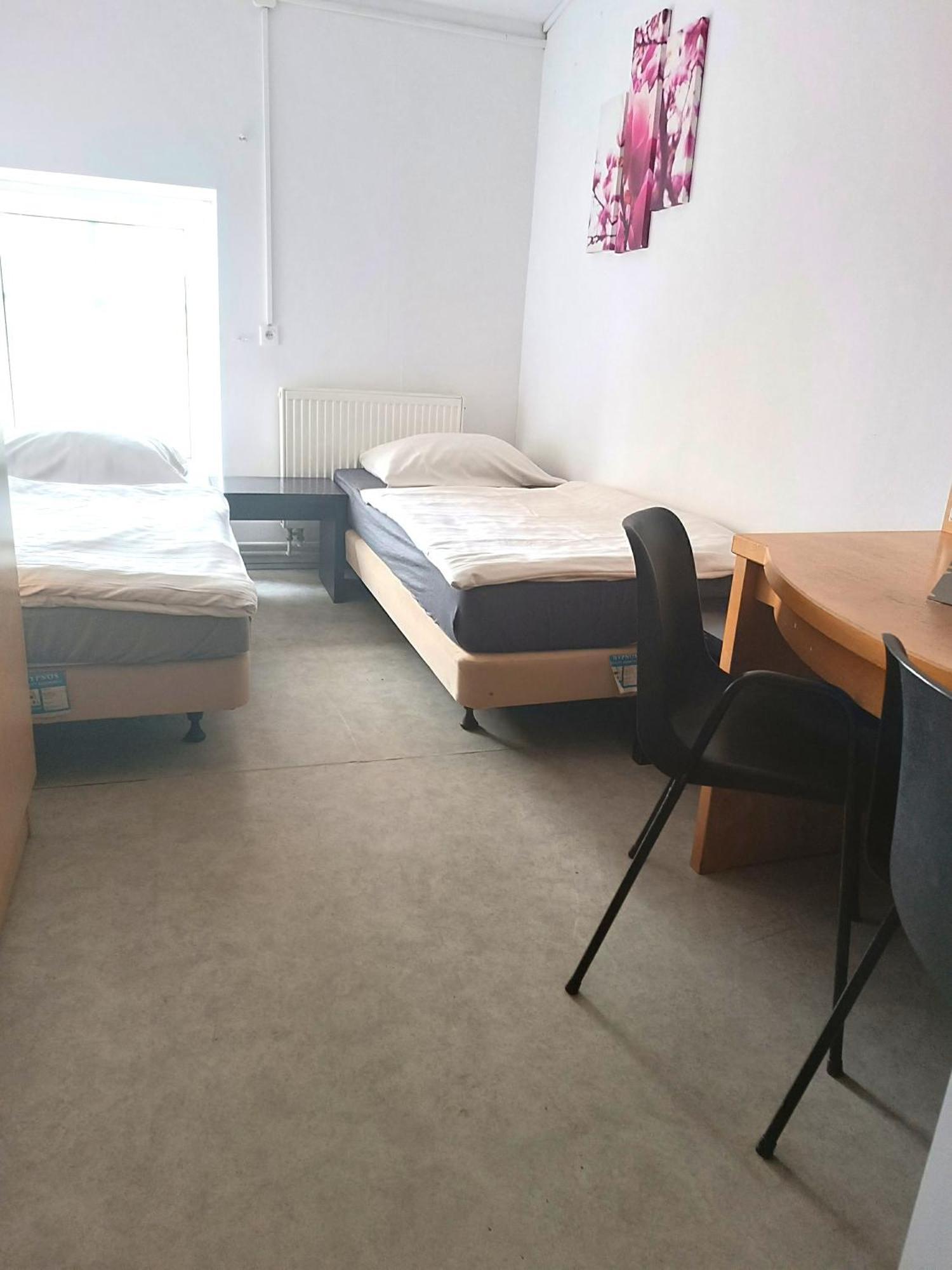Hostel Krosnienska 12 Zielona Góra Dış mekan fotoğraf